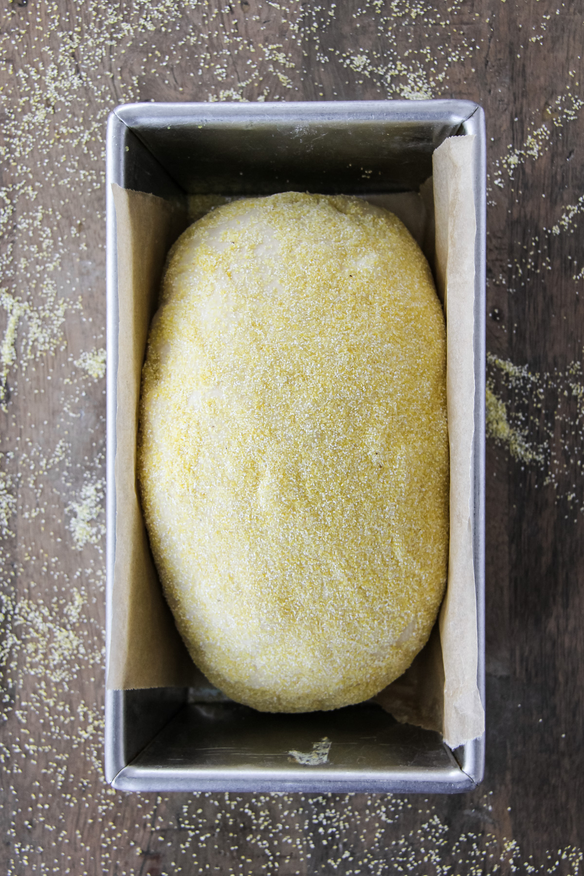 a top down image of an English Muffin Loaf rising in a bread pan