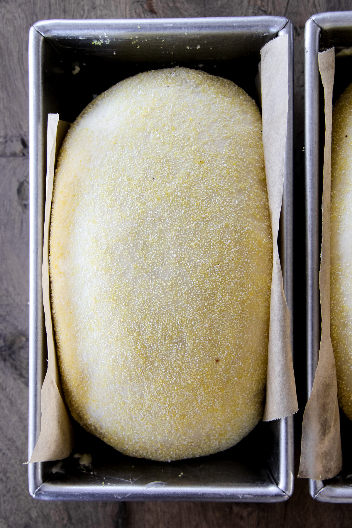 a top down image of an English Muffin Loaf rising in a bread pan