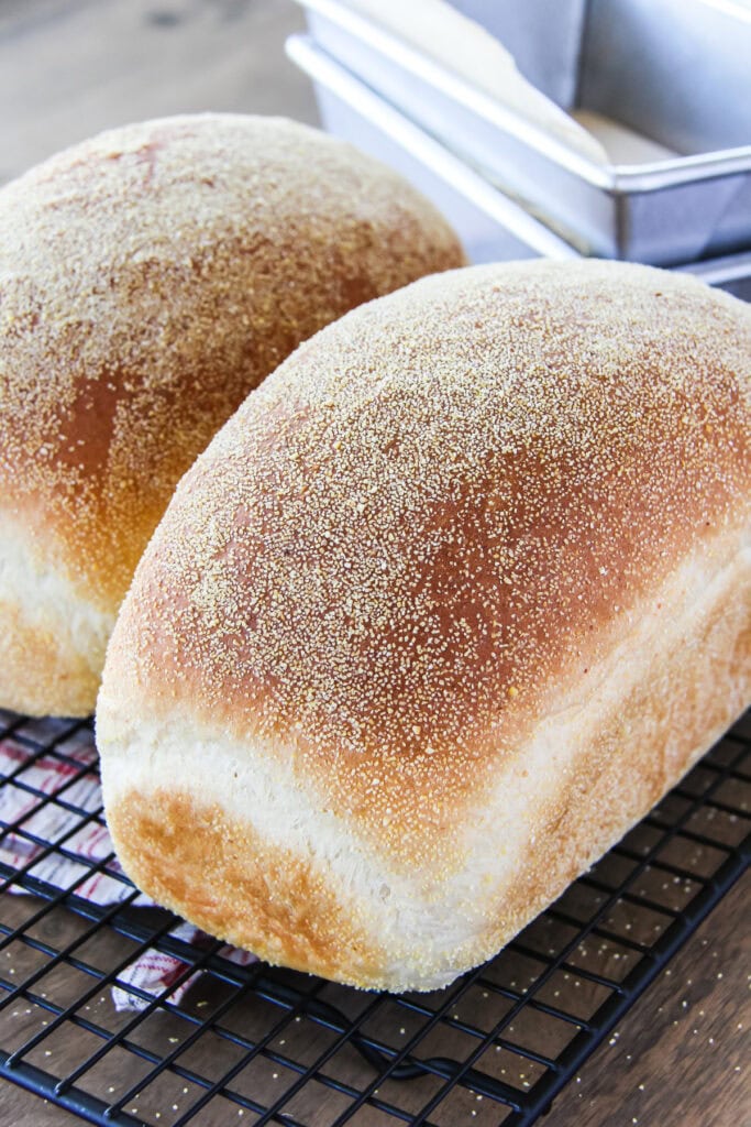 English Muffin Loaves sit on a wire cooling rack