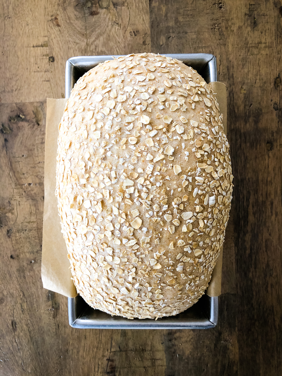 a top down image of a loaf of oatmeal bread rising in a pan